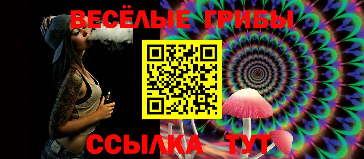 Галлюциногенные грибы Psilocybine cubensis  Вход с VPN  Галлюциногенные грибы Magic Shrooms  где купить наркоту  Кизляр 